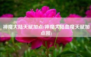 神魔大陆天赋加点(神魔大陆血魔天赋加点图)