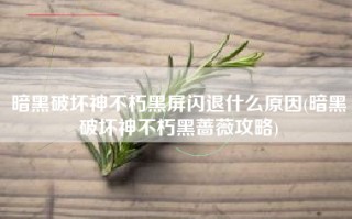 暗黑破坏神不朽黑屏闪退什么原因(暗黑破坏神不朽黑蔷薇攻略)