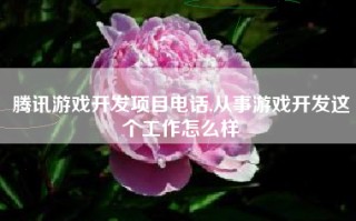 腾讯游戏开发项目电话,从事游戏开发这个工作怎么样