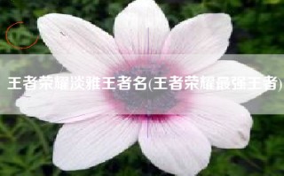 王者荣耀淡雅王者名(王者荣耀最强王者)