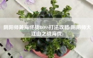 阴阳师麓海终战BOSS打法攻略(阴阳师大江山之战海伐)