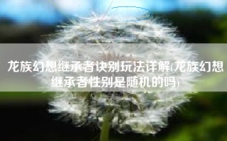 龙族幻想继承者诀别玩法详解(龙族幻想继承者性别是随机的吗)