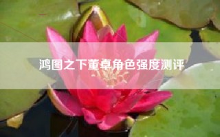 鸿图之下董卓角色强度测评