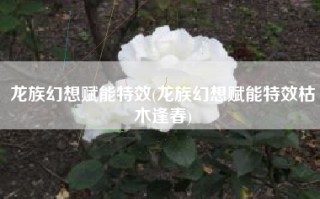 龙族幻想赋能特效(龙族幻想赋能特效枯木逢春)
