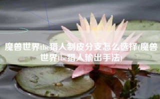 魔兽世界tbc猎人制皮分支怎么选择(魔兽世界tbc猎人输出手法)