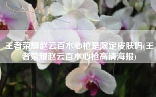 王者荣耀赵云百木心枪是限定皮肤吗(王者荣耀赵云百木心枪高清海报)