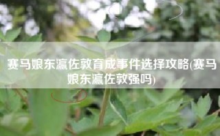 赛马娘东瀛佐敦育成事件选择攻略(赛马娘东瀛佐敦强吗)