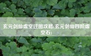 玄元剑仙虚空过图攻略(玄元剑仙四阶虚空石)