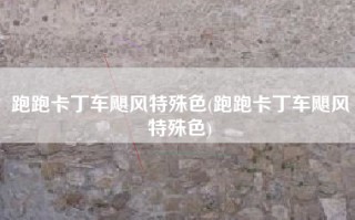 跑跑卡丁车飓风特殊色(跑跑卡丁车飓风特殊色)