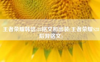 王者荣耀韩信s28铭文和出装(王者荣耀S28后羿铭文)