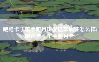 跑跑卡丁车手游月饼配送车属性怎么样(跑跑卡丁车手游月卡)
