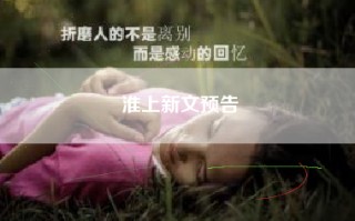 淮上新文预告