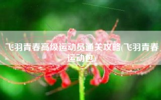飞羽青春高级运动员通关攻略(飞羽青春运动包)