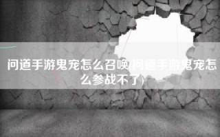 问道手游鬼宠怎么召唤(问道手游鬼宠怎么参战不了)