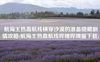 航海王热血航线横穿沙漠的准备隐藏剧情攻略(航海王热血航线哔哩哔哩服下载)