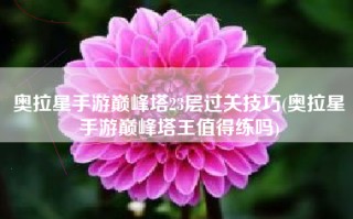 奥拉星手游巅峰塔23层过关技巧(奥拉星手游巅峰塔王值得练吗)