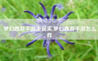 梦幻西游手游走现实,梦幻西游手游怎么样