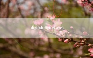 digital(digital age)