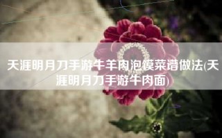 天涯明月刀手游牛羊肉泡馍菜谱做法(天涯明月刀手游牛肉面)