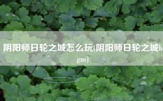 阴阳师日轮之城怎么玩(阴阳师日轮之城bgm)