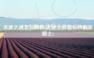 天使之战怎么转职(天使之战怎么转职圣骑士)