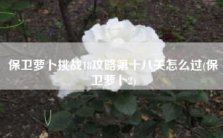 保卫萝卜挑战18攻略第十八关怎么过(保卫萝卜2)