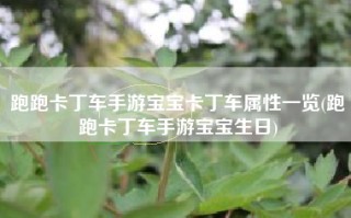 跑跑卡丁车手游宝宝卡丁车属性一览(跑跑卡丁车手游宝宝生日)