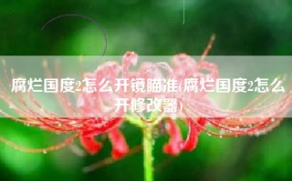 腐烂国度2怎么开镜瞄准(腐烂国度2怎么开修改器)