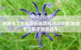 跑跑卡丁车手游拆除路障方法攻略(跑跑卡丁车手游道具车)