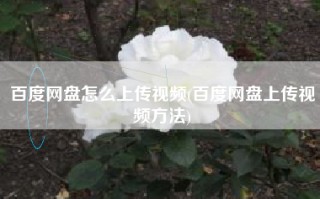百度网盘怎么上传视频(百度网盘上传视频方法)