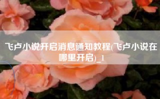 飞卢小说开启消息通知教程(飞卢小说在哪里开启)_1