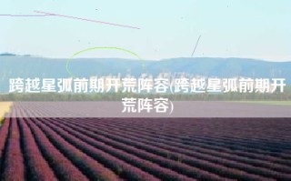 跨越星弧前期开荒阵容(跨越星弧前期开荒阵容)