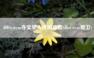 DBSystem夺宝单人速刷攻略(dbsystem盾卫)