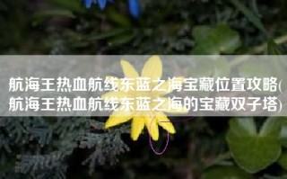 航海王热血航线东蓝之海宝藏位置攻略(航海王热血航线东蓝之海的宝藏双子塔)