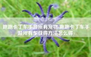 跑跑卡丁车手游所有宠物(跑跑卡丁车手游所有车获得方法怎么得)