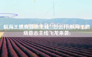 航海王燃烧意志主线77怎么打(航海王燃烧意志主线飞龙来袭)