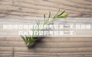 阴阳师百闻牌白狼的考验第二关(阴阳师百闻牌白狼的考验第二关)