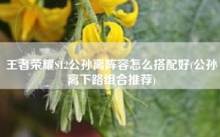 王者荣耀S12公孙离阵容怎么搭配好(公孙离下路组合推荐)