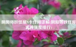 阴阳师妖怪屋N卡作用详解(阴阳师妖怪屋式神强度排行)