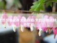 太吾绘卷武林大会攻略(太吾绘卷武林大会奖励)