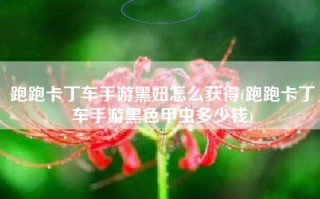 跑跑卡丁车手游黑妞怎么获得(跑跑卡丁车手游黑色甲虫多少钱)