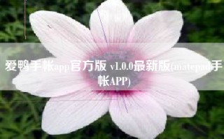 爱鸭手帐app官方版 v1.0.0最新版(matepad手帐APP)