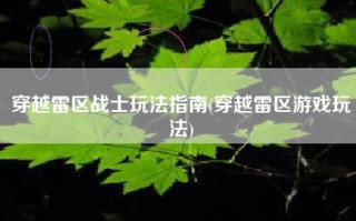 穿越雷区战士玩法指南(穿越雷区游戏玩法)