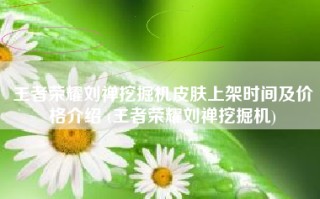 王者荣耀刘禅挖掘机皮肤上架时间及价格介绍 (王者荣耀刘禅挖掘机)