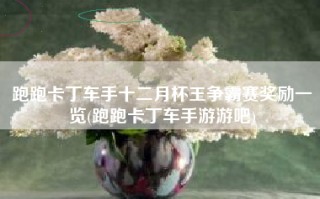 跑跑卡丁车手十二月杯王争霸赛奖励一览(跑跑卡丁车手游游吧)