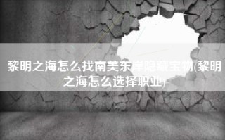 黎明之海怎么找南美东岸隐藏宝物(黎明之海怎么选择职业)
