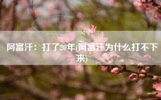 阿富汗：打了20年(阿富汗为什么打不下来)