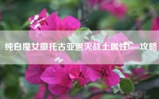 纯白魔女撒托古亚退灭战土属性boss攻略