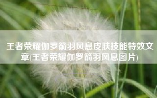 王者荣耀伽罗箭羽风息皮肤技能特效文章(王者荣耀伽罗箭羽风息图片)