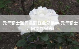 元气骑士如何拿到红色兑换券(元气骑士如何拿到警官)